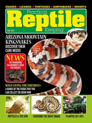cover image of Practical Reptile Keeping